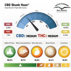 CBD Skunk Haze Feminized