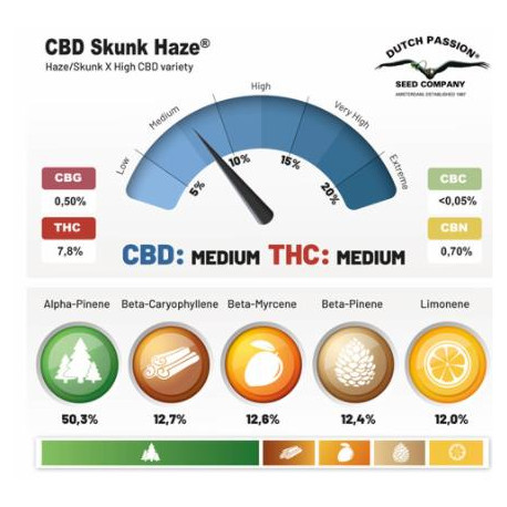 CBD Skunk Haze Feminized