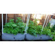 Raised Grow Beds  - The Novice .9m x .9m x .5m (360L)