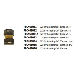 Brass Coupler Straight CxFI 15mm x 1/2 - REIGN DZR