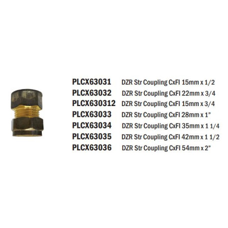 Brass Coupler Straight CxFI 22mm x 3/4 - REIGN DZR