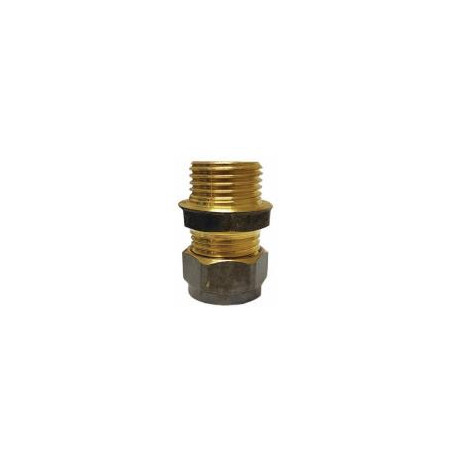 Brass Coupler Straight CxMI 15mm X 1/2 - REIGN DZR