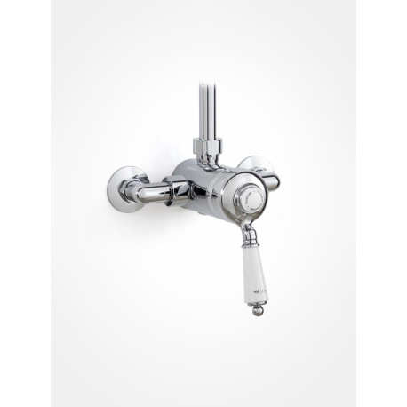 Basin Mixer Exposed Britannia exposed single lever